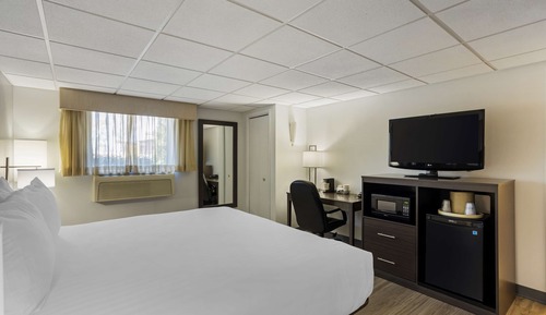 Standard Room, 1 King Bed, Non Smoking, Refrigerator & Microwave