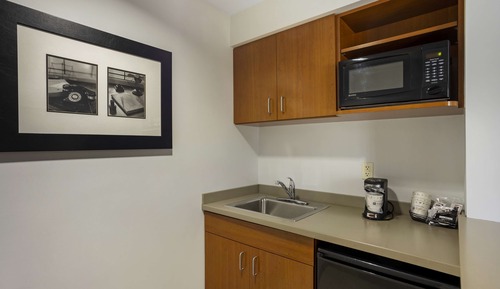 Suite, 1 King Bed, Non Smoking, Refrigerator & Microwave (with Sofabed)