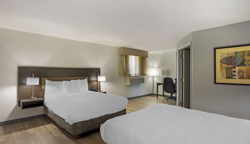 Standard Room, 2 Double Beds, Accessible, Refrigerator & Microwave (Walk-in Shower)