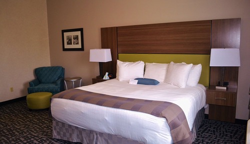 Standard Room, 1 King Bed, Accessible, Refrigerator & Microwave