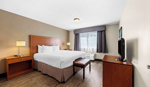 Suite, 1 King Bed, Non Smoking, Refrigerator & Microwave (with Sofabed)