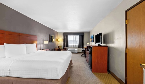 Standard Room, 1 King Bed, Non Smoking, Refrigerator & Microwave