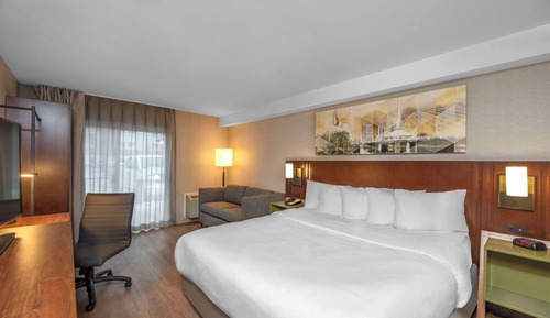 Business Room, 1 King Bed, Non Smoking