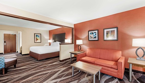 Suite, 1 King Bed, Non Smoking, Refrigerator & Microwave (with Sofabed)