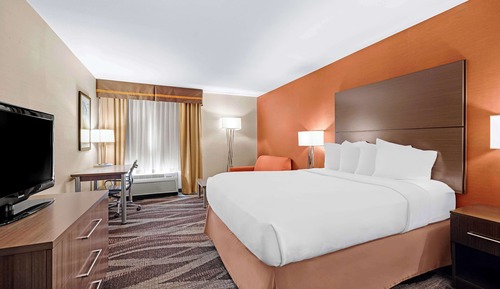Standard Room, 1 King Bed, Non Smoking, Refrigerator & Microwave