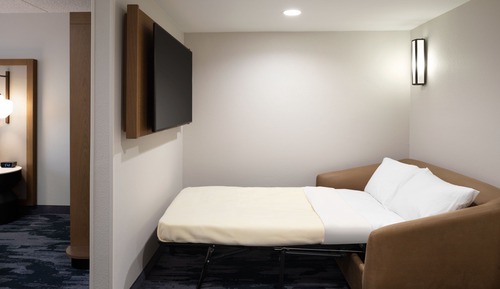 Suite, 1 King Bed with Sofa bed