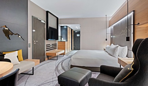 Room, 1 King Bed