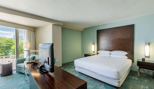 Junior Studio Suite, 1 King Bed