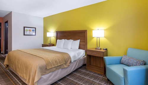 Standard Room, 1 King Bed, Non Smoking