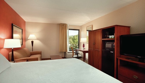 Room, 1 King Bed, Accessible, Non Smoking
