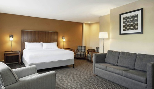 Studio, 1 King Bed with Sofa bed, Non Smoking