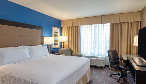 Standard Room, 1 King Bed, Accessible (Communications)