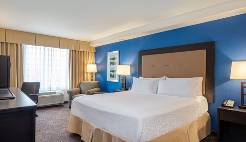 Standard Room, 1 King Bed, Accessible Bathtub (Mobility)