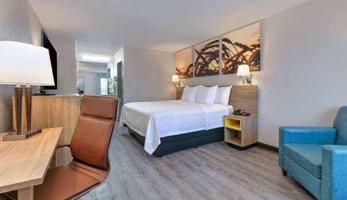 Standard Room, 1 King Bed