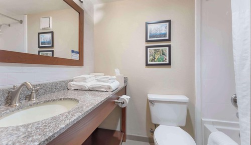 Room, 1 King Bed, Non Smoking
