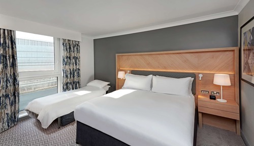 Family Room, 1 King Bed (with Sofa)