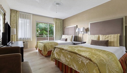 Standard Suite, 1 Bedroom, Kitchen (2 Double Bed with Sofa Bed)