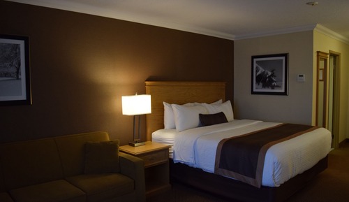 Standard Room, 1 King Bed, Non Smoking, Refrigerator (with Sofabed)