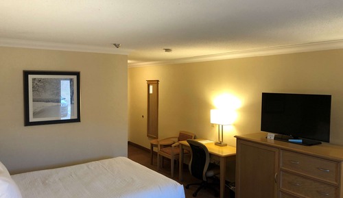 Standard Room, 1 Queen Bed, Accessible, Patio