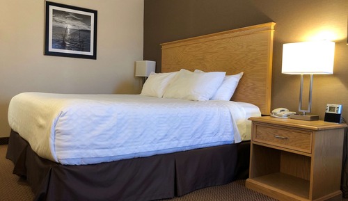 Standard Room, 1 King Bed, Non Smoking