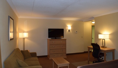 Business Room, 1 King Bed, Non Smoking, Jetted Tub (with Sofabed)