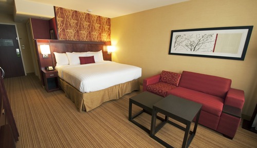 Room, 1 King Bed with Sofa bed