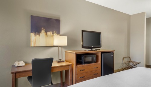 Standard Room, 1 King Bed, Non Smoking, Refrigerator & Microwave (Pet Friendly)