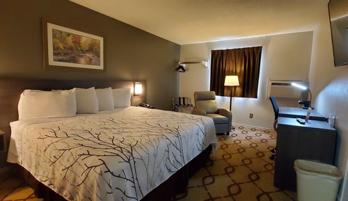 Business Single Room, 1 King Bed