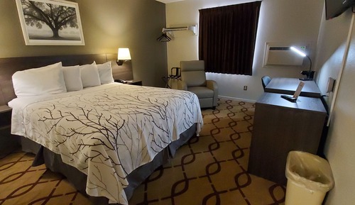 Basic Single Room, 1 Queen Bed