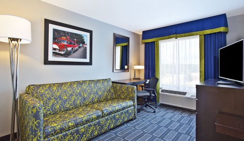 Suite, 1 King Bed with Sofa bed