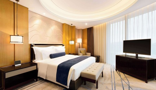 Deluxe Room (1 King or 2 Twins)