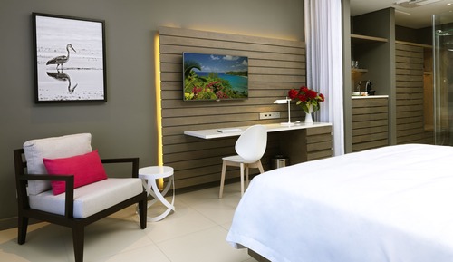 Executive Room, Garden View
