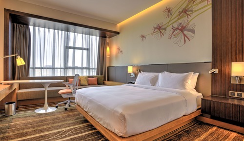 Room, 1 King Bed