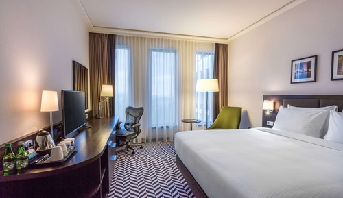 Room, 1 King Bed