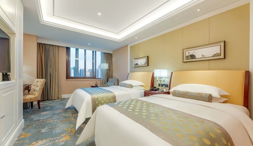 Business Twin Room (business twin room)