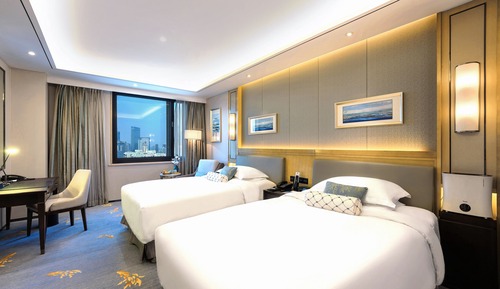 Deluxe Twin Room (deluxe room)