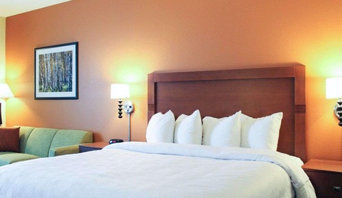 Suite, 1 King Bed with Sofa bed, Accessible, Non Smoking (Efficiency)
