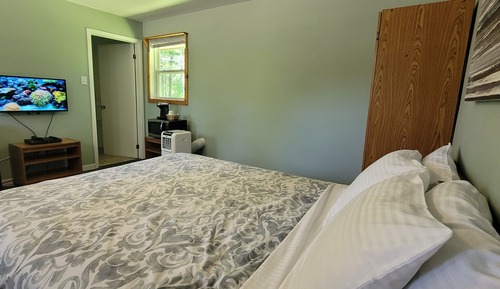 Basic Room, 1 Queen Bed, Non Smoking, Refrigerator & Microwave