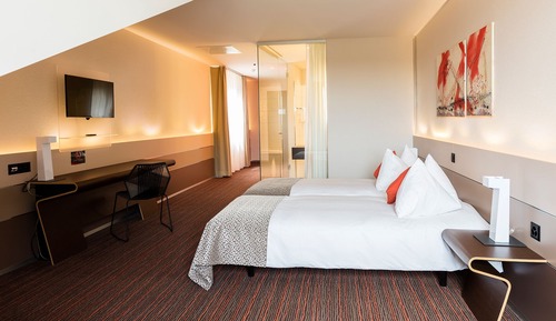 Comfort Double Room, 1 Double Bed