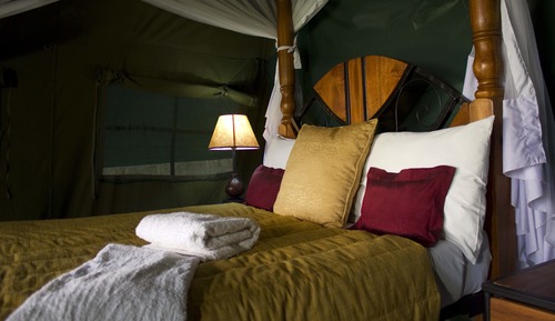 Deluxe Twin Room, Multiple Beds