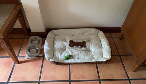 Garden Deluxe - Pet Friendly