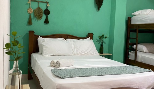 Basic Quadruple Room