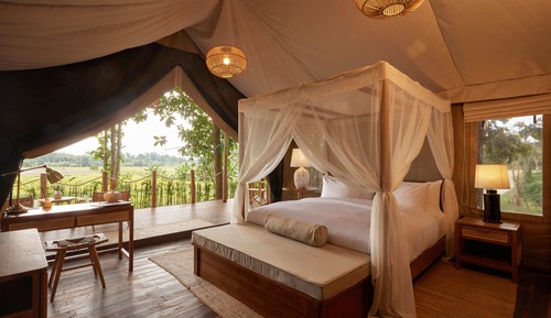 Luxury Tent, 1 King Bed