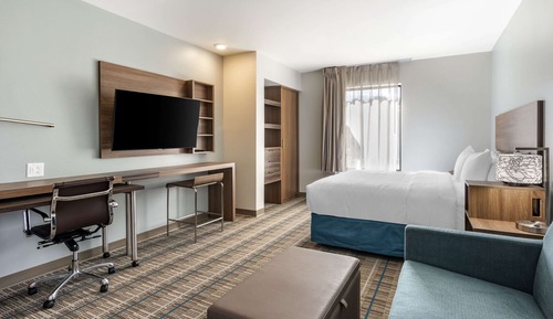 Suite, 1 King Bed with Sofa bed, Non Smoking (Efficiency)