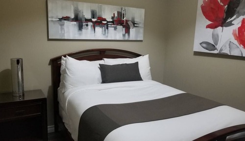 Suite #20 - 18