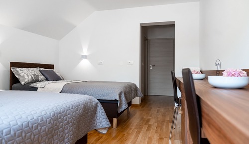 Business Double Room, 1 Bedroom