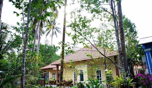 Bungalow, Garden View