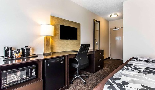 Room, 1 King Bed, Non Smoking