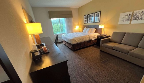 Suite, 1 King Bed with Sofa bed, Non Smoking