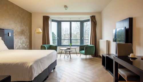 Superior Studio, 1 King Bed